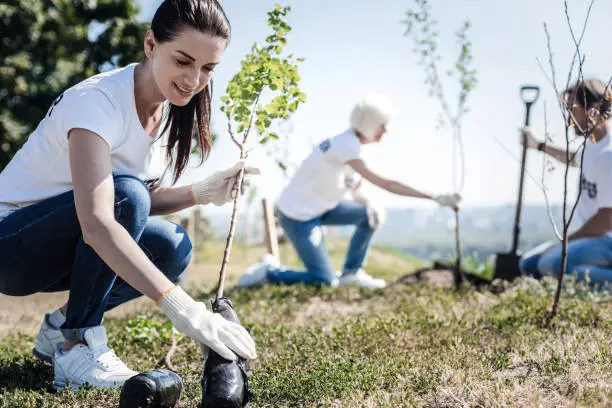Image of people planting trees